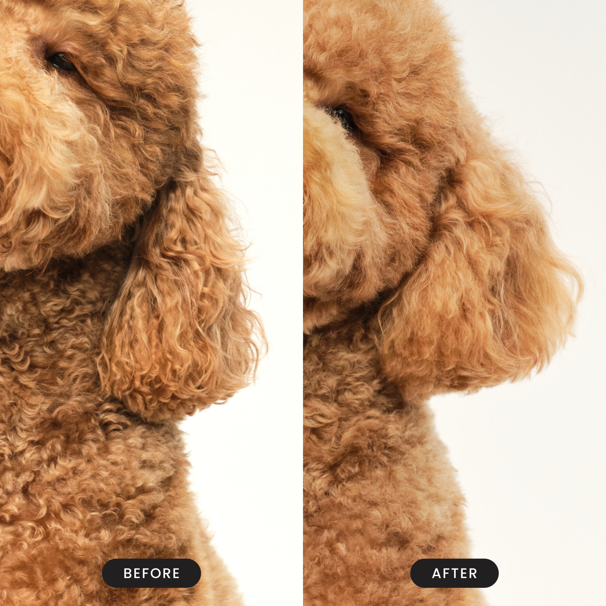 Detangling Dog Grooming Brush
