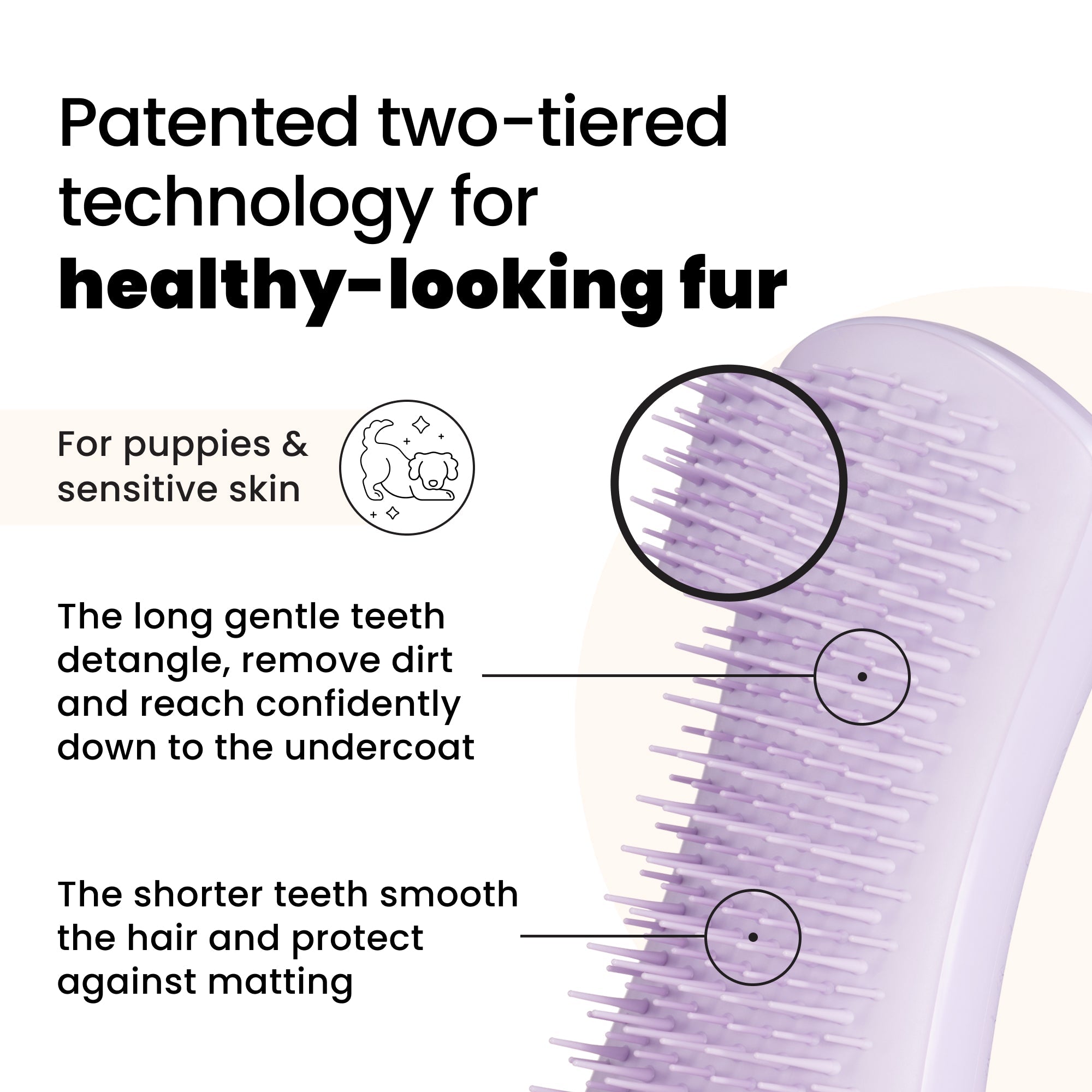 Puppy Brush